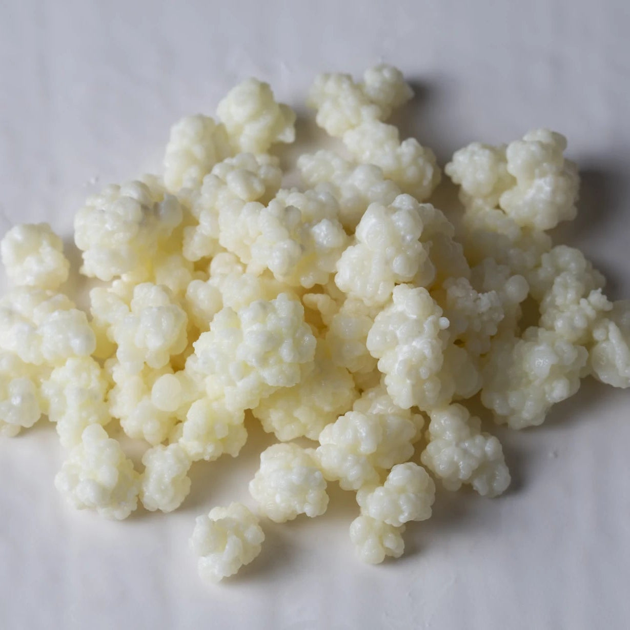 Grass-Fed Milk Kefir Starter Grains