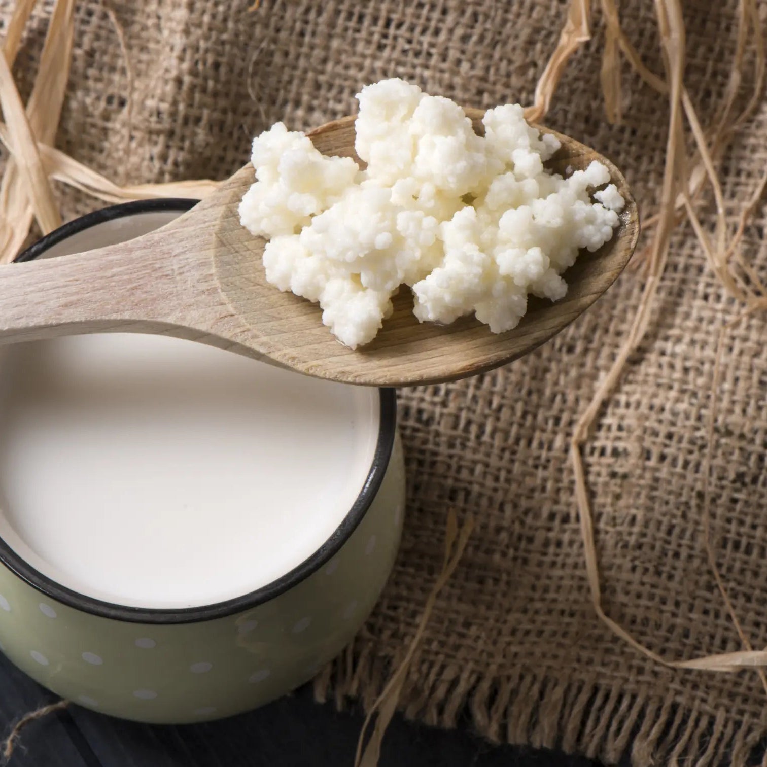 Grass-Fed Milk Kefir Starter Grains