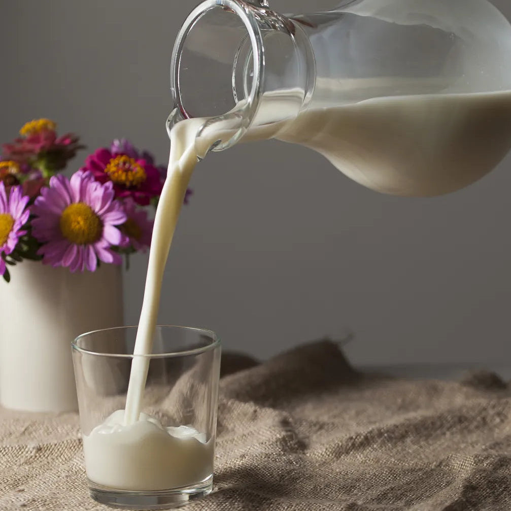 Grass-Fed Milk Kefir Starter Grains